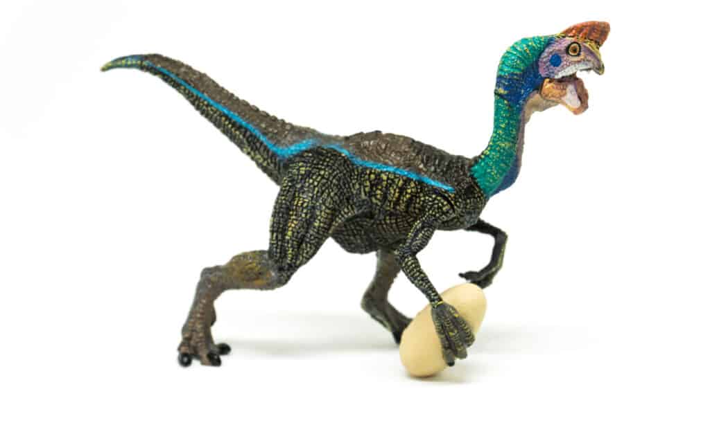 Oviraptor con uovo su sfondo bianco