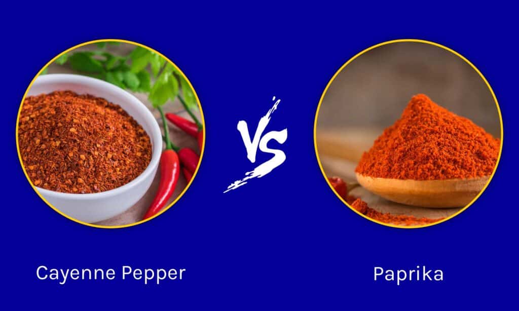 Pepe di Caienna vs Paprika