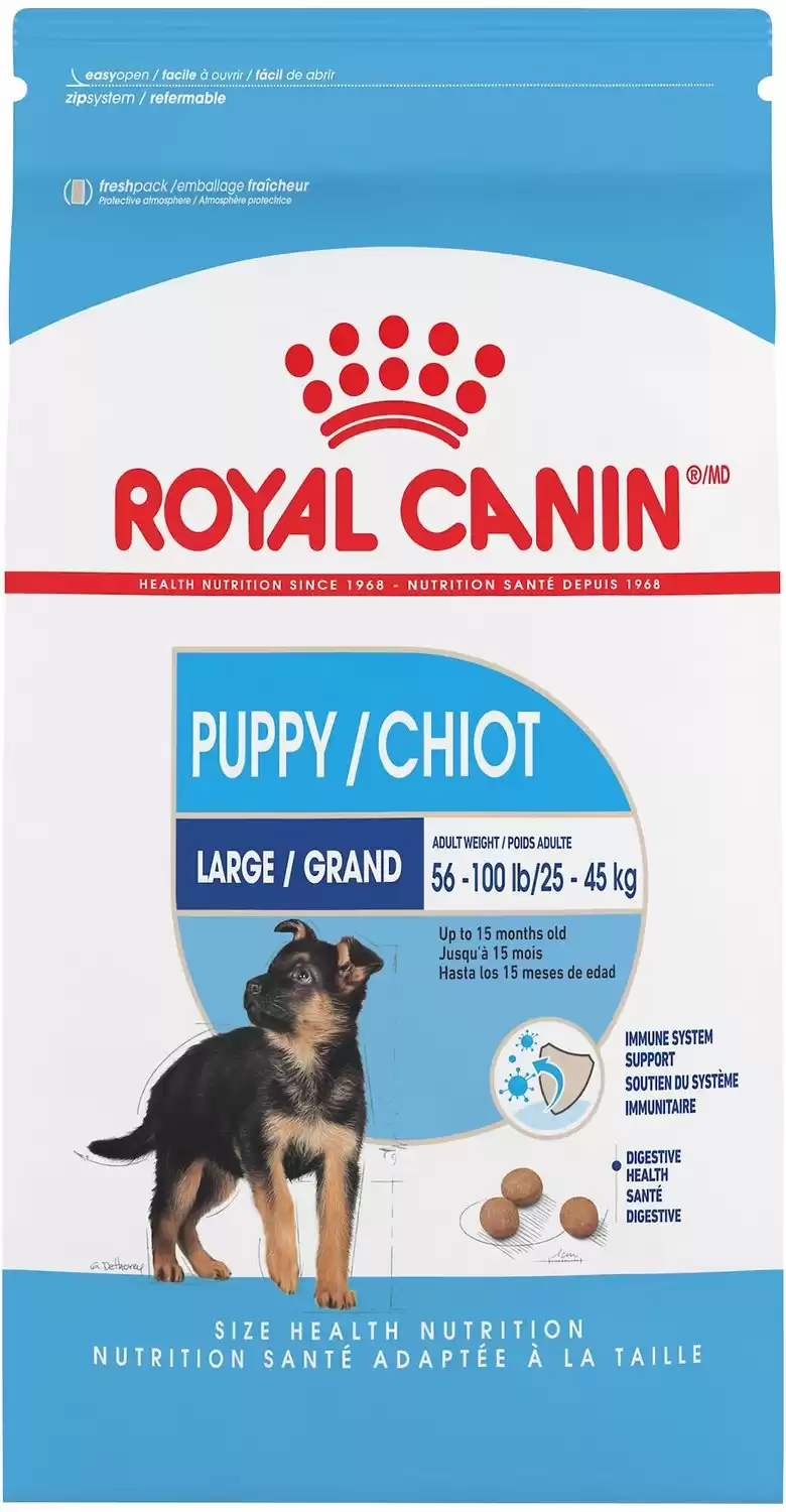 Cibo secco per cani Royal Canin Large Puppy