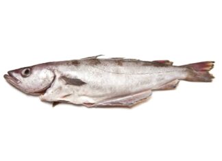 Pesce Pollock
