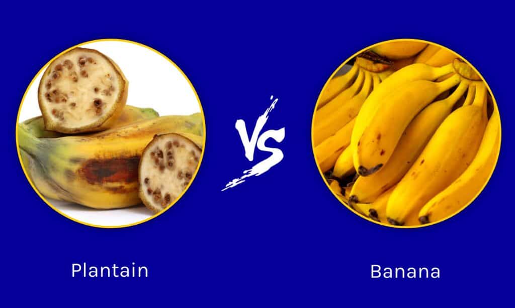 Piantaggine contro banana