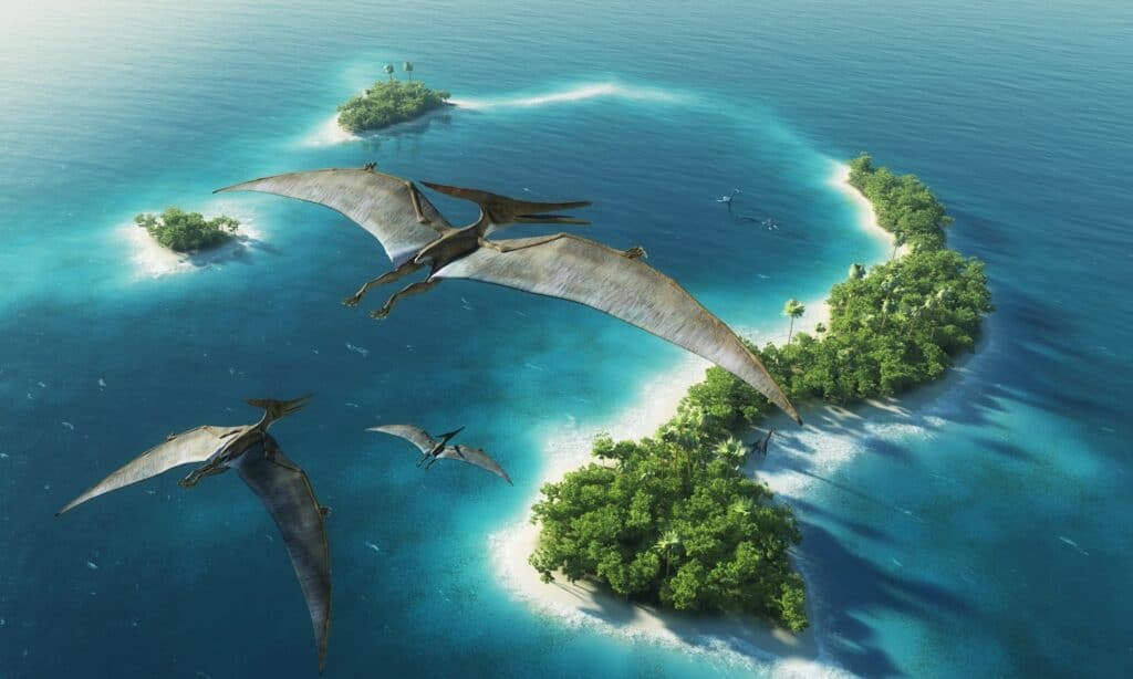 Pteranodonte che sorvola un'isola tropicale alla ricerca di pesci e altre prede.