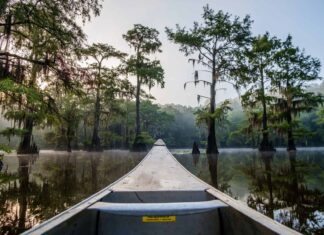 Caddo Lake