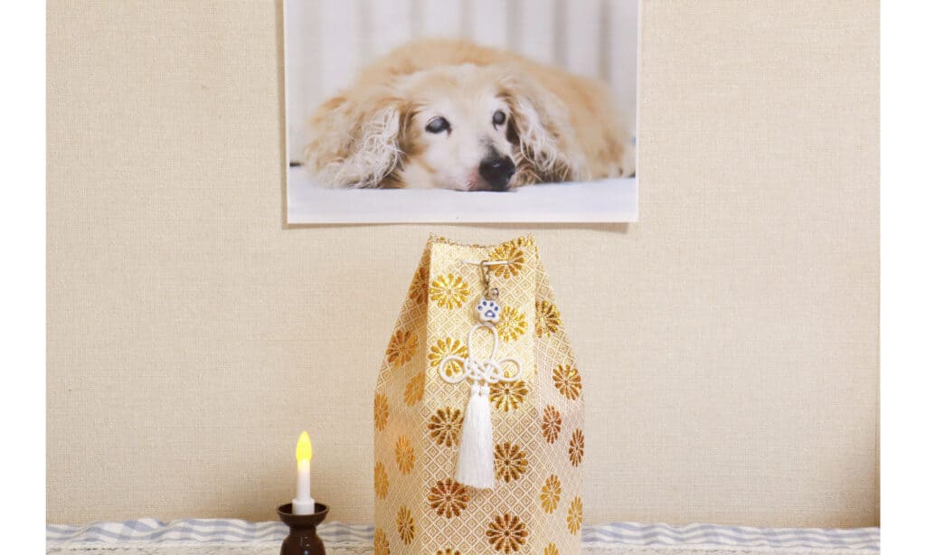 Un semplice memoriale con candela, urna e foto del cane deceduto