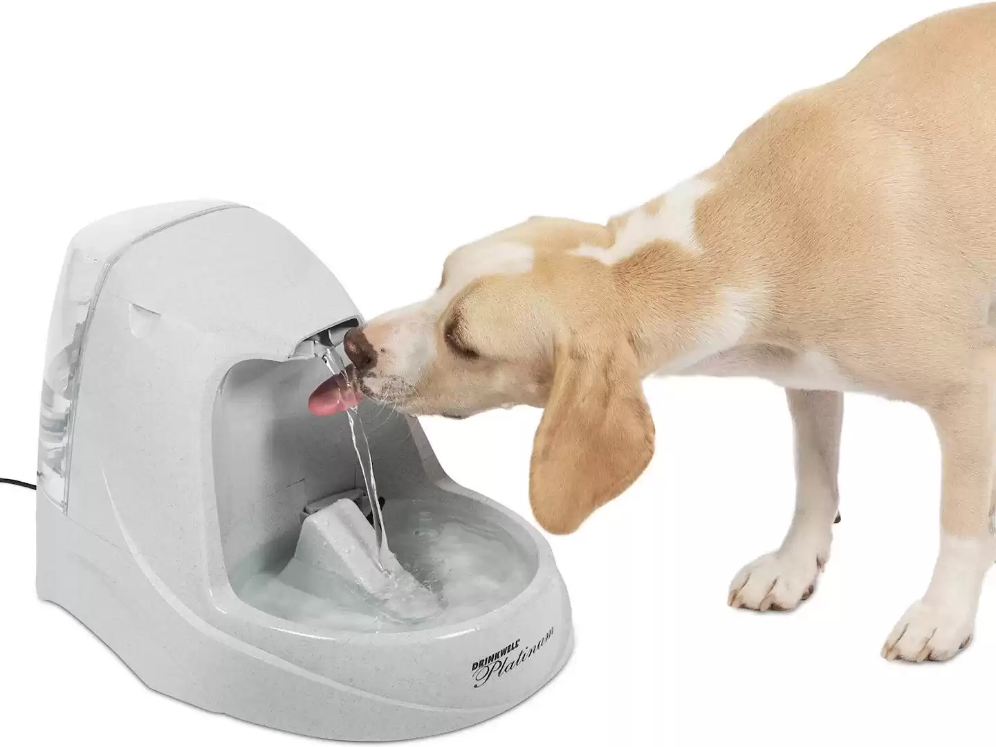 Fontana per cani e gatti in plastica Platinum Drinkwell