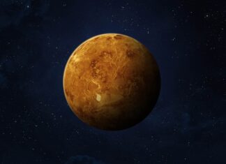 Questo è quanto peseresti su Venere
