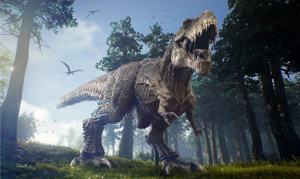 Therizinosaurus vs T-Rex: chi vincerebbe in un combattimento