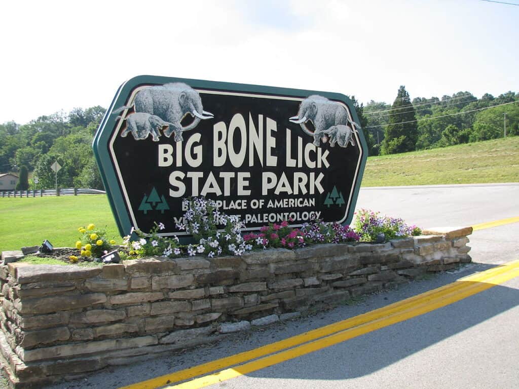 Parco statale Big Bone Lick