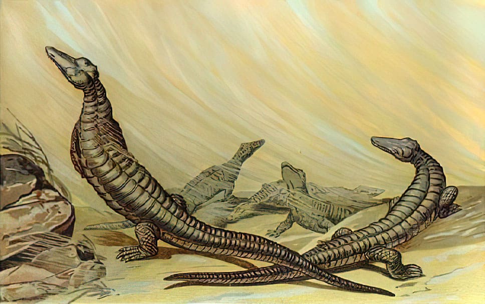 Stegomus (Etosauro)