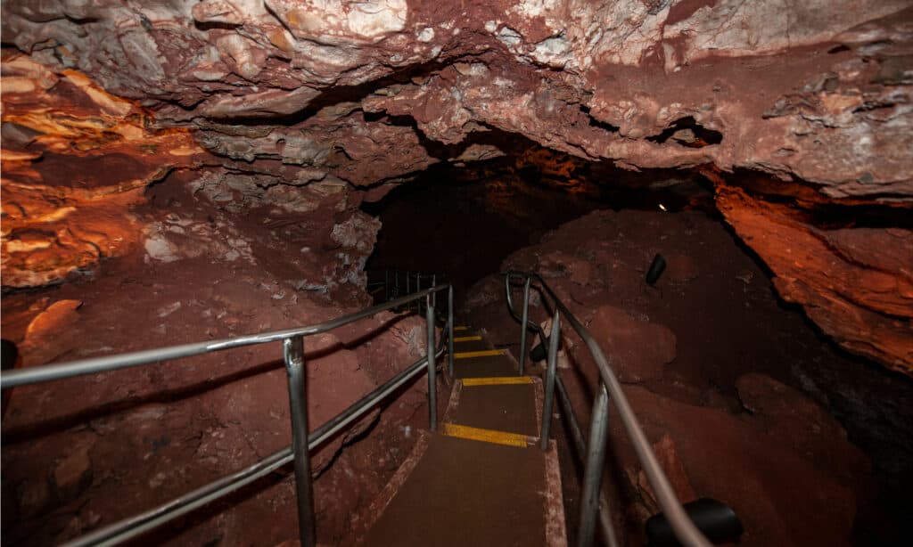 Parco Nazionale della Grotta del Vento