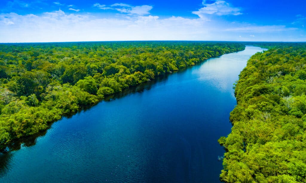 Il Rio delle Amazzoni si estende per 4.345 miglia di lunghezza.