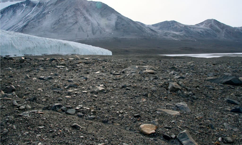Valle secca Antartide
