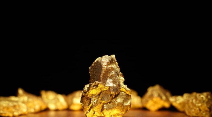 Scopri la più grande pepita d'oro mai trovata nello stato di Washington
