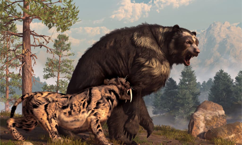 Scopri l'orso più grande che sia mai esistito (fino a 4 volte le dimensioni di un grizzly!)