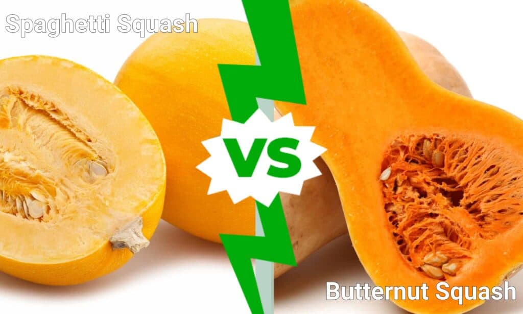 Zucca Spaghetti vs Zucca Butternut