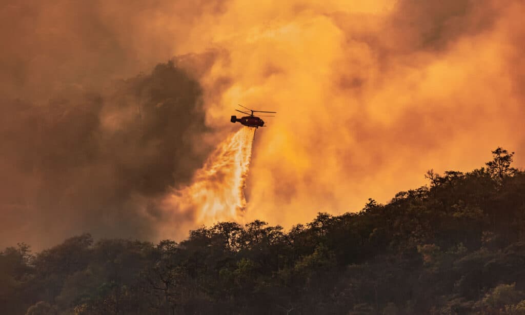 Elicottero che scarica acqua su un incendio boschivo