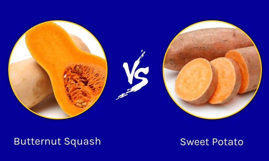 Zucca Butternut vs Patate Dolci