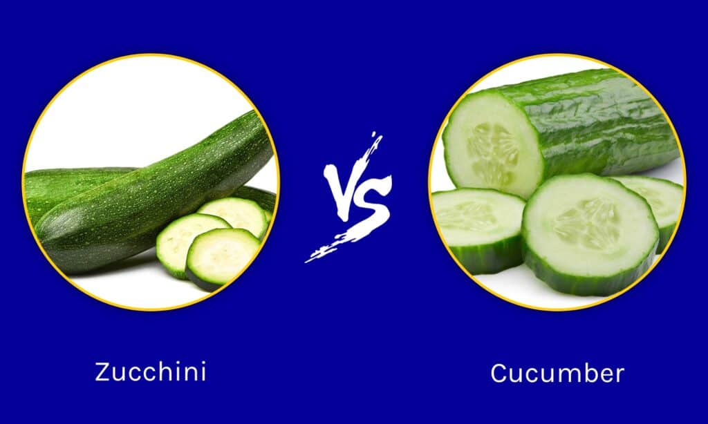 Zucchine vs Cetriolo
