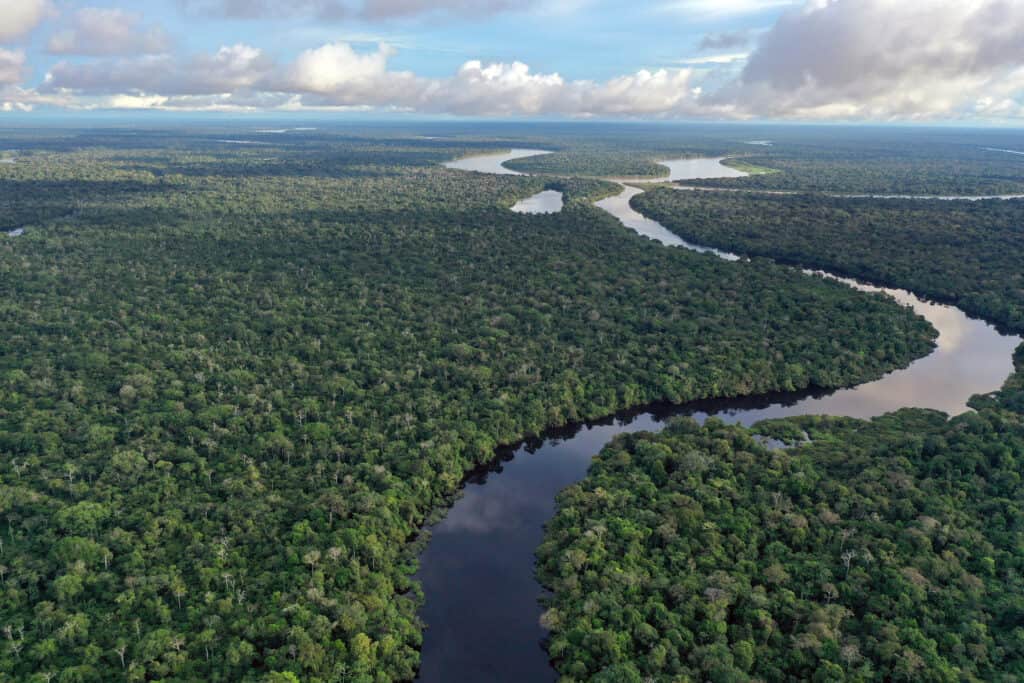 Il Rio delle Amazzoni è il fiume più grande del mondo