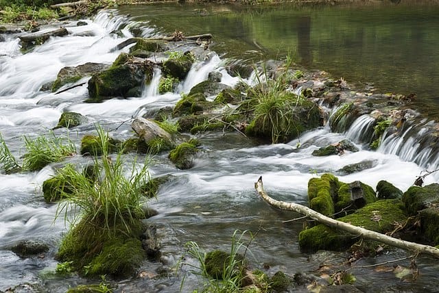 Primo piano del fiume ruggente al Roaring River State Park, Missouri