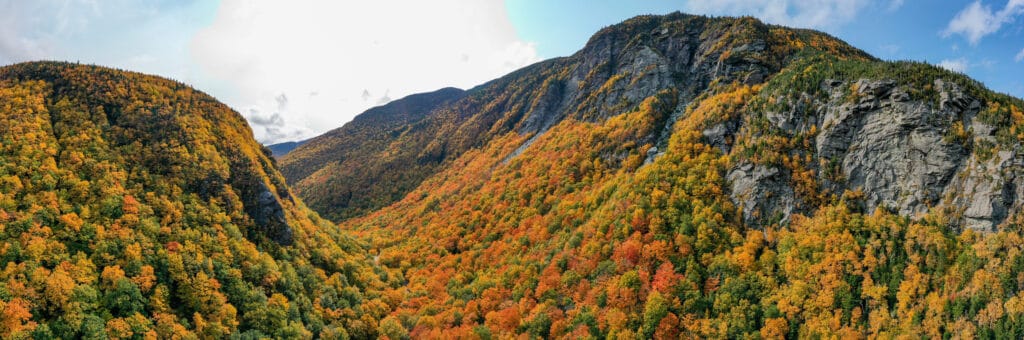 Tacca del contrabbandiere, Vermont