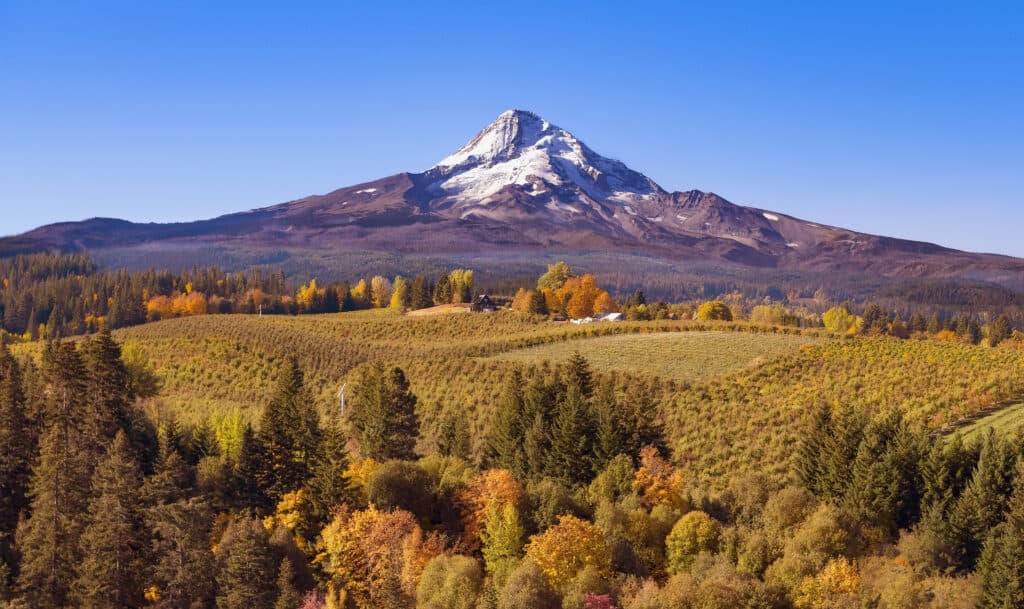 Monte Cofano in autunno