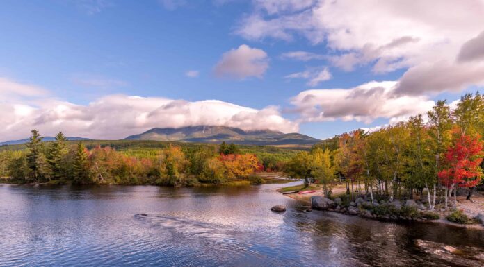 I 5 migliori spot per sbirciare le foglie nel Maine: date di punta, migliori percorsi di guida e altro
