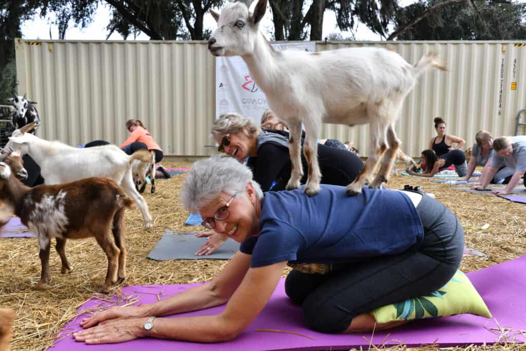 yoga della capra