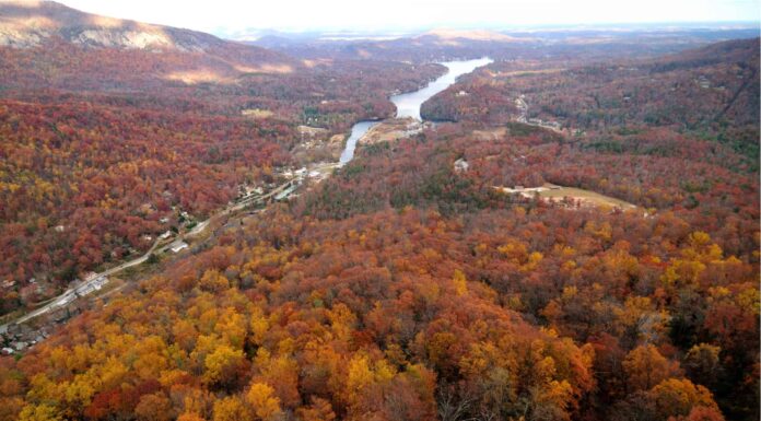 I 5 migliori spot per sbirciare le foglie nella Carolina del Nord: date di punta, migliori percorsi di guida e altro
