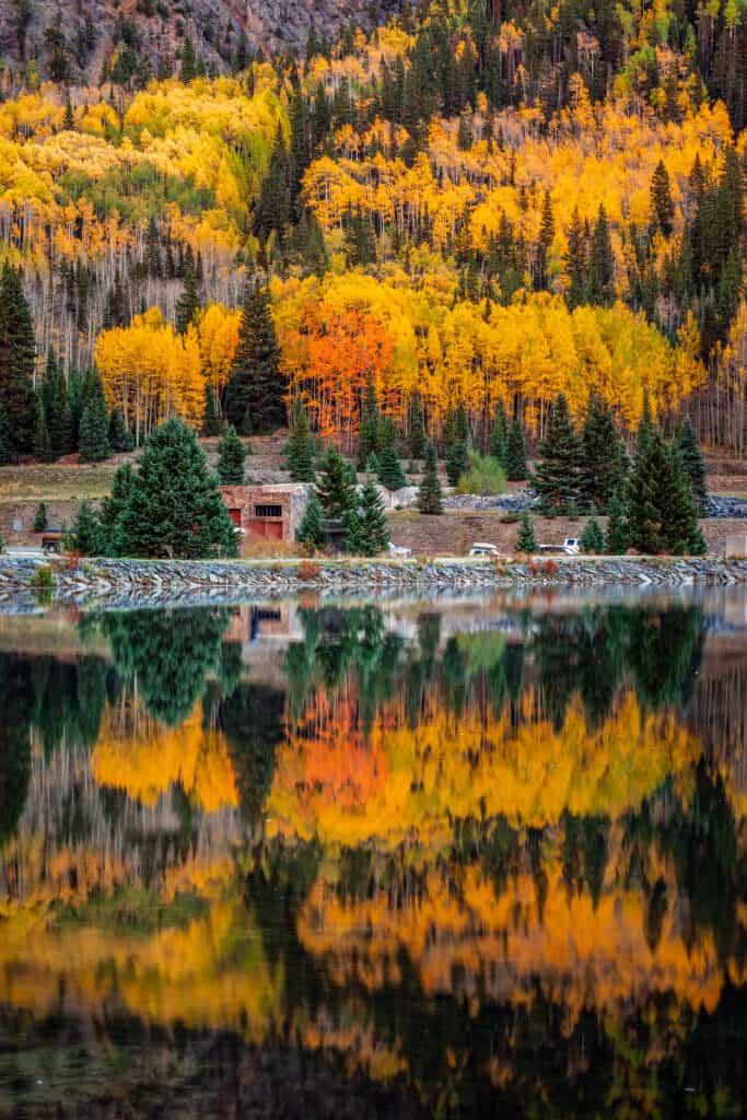 Foglie dell'albero dell'aspen all'autostrada da un milione di dollari in Colorado.