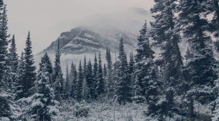 Prima neve nel Montana: la prima e l'ultima prima neve mai registrata
