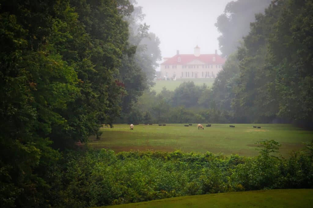 Mount Vernon - Virginia, George Washington, Architettura, Eleganza, Ambiente