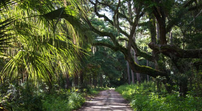 La pista ciclabile più lunga della Carolina del Sud
