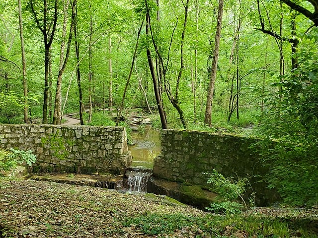 Una piccola cascata artificiale a Wildcat Creek, Dunwoody Nature Center