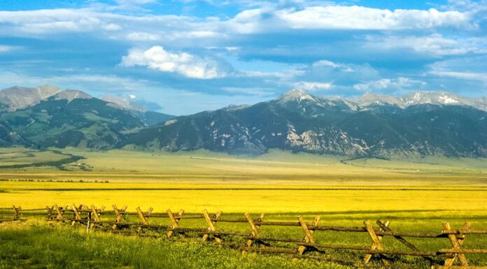 Incontra i 10 più grandi proprietari terrieri del Montana
