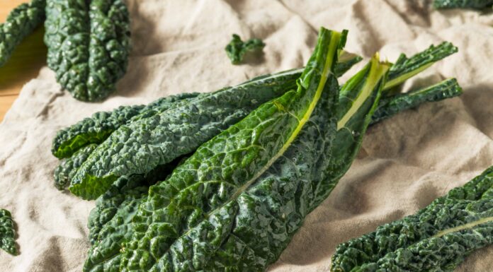 Kale toscano contro Kale
