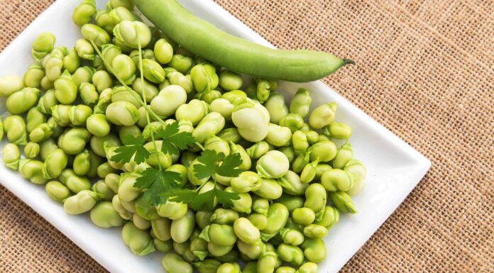 Fava vs fagiolo di Lima: qual è la differenza?
