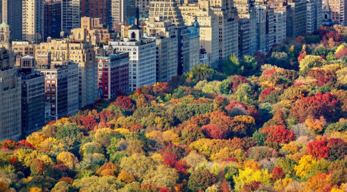 I 5 posti migliori per sbirciare le foglie a New York: date di punta, migliori percorsi di guida e altro

