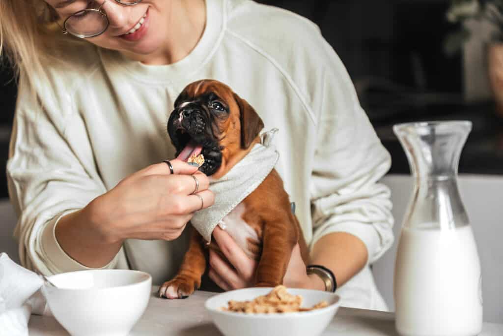 I cani possono mangiare i Cheerios? Donna e cane fanno colazione a tavola.