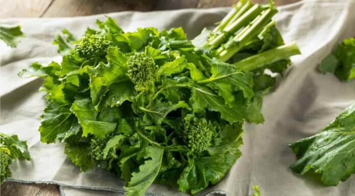 Broccolini vs Broccoli Rabe