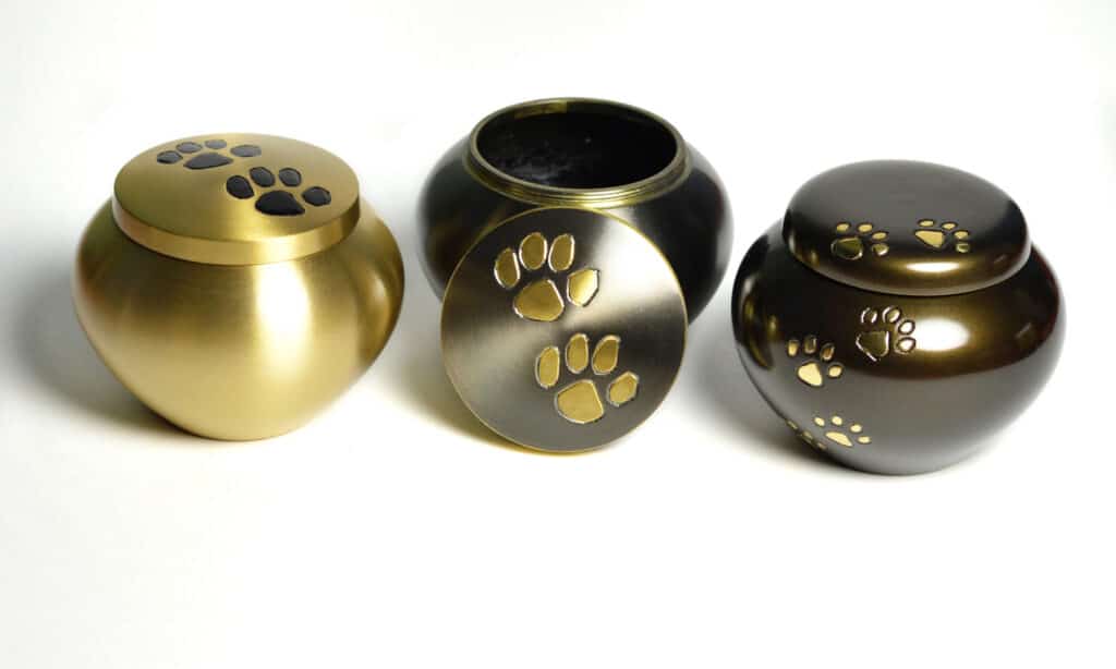 3 urne per animali domestici per cremazioni con impronte di zampe