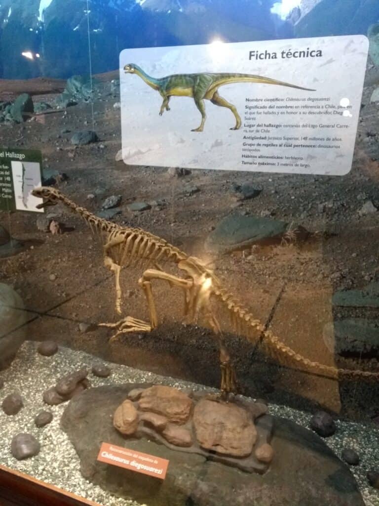 Scheletro di Chilesaurus diegosuarezi.jpg in mostra