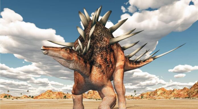 Scopri l'antica lucertola appuntita che faceva sembrare morbido lo stegosauro
