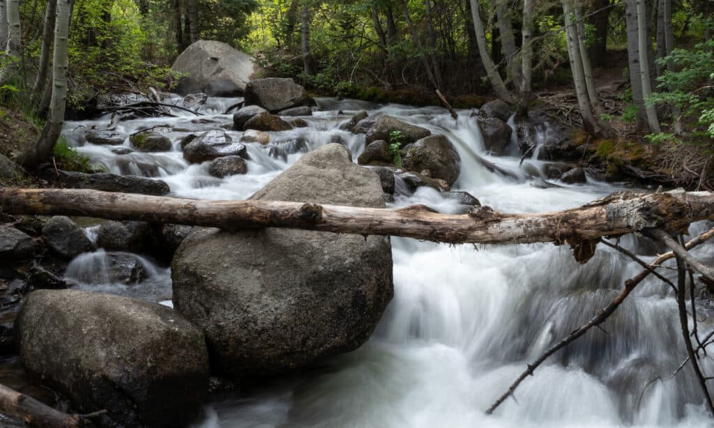 Un fiume che scorre veloce e enormi rocce nel Bells Canyon, Utah, Stati Uniti