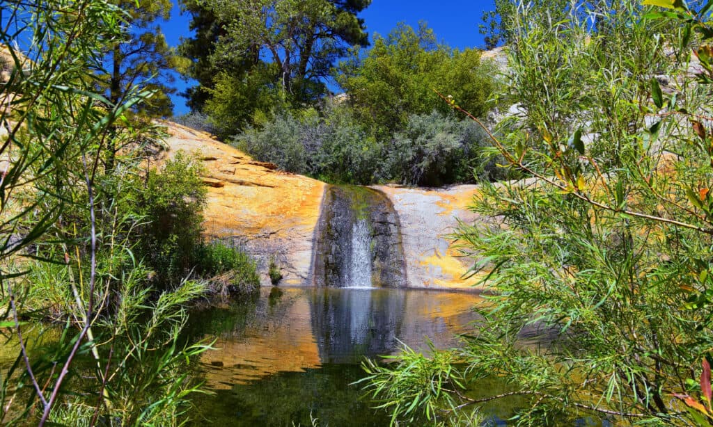 Upper Calf Creek cade nello Utah