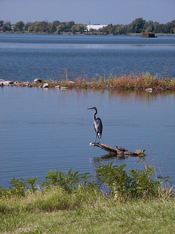 Lago a ferro di cavallo Illinois