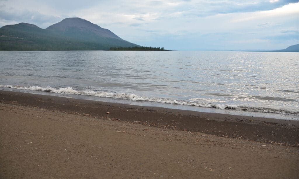   Lago Taymyr Russia