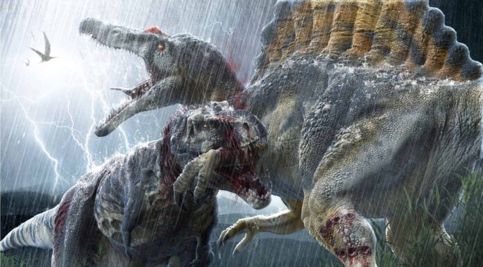 Incontra il più grande dinosauro carnivoro della storia (più grande di un T-Rex!)
