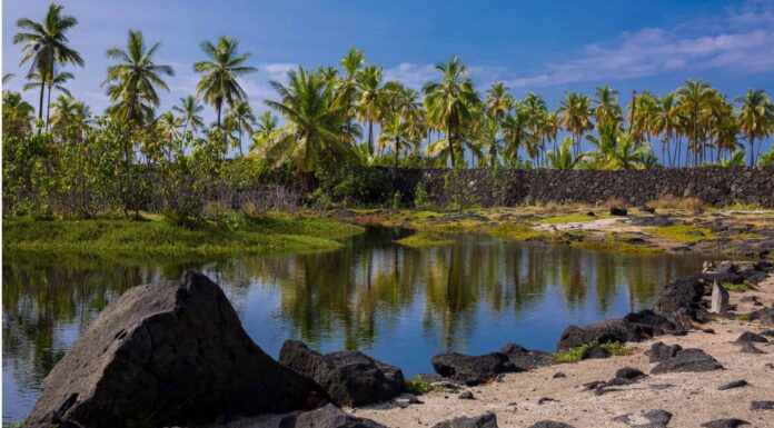 Scopri i 9 migliori parchi nazionali da visitare alle Hawaii
