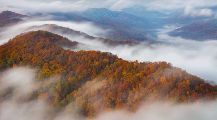 Scopri gli 8 migliori parchi nazionali del Kentucky 
